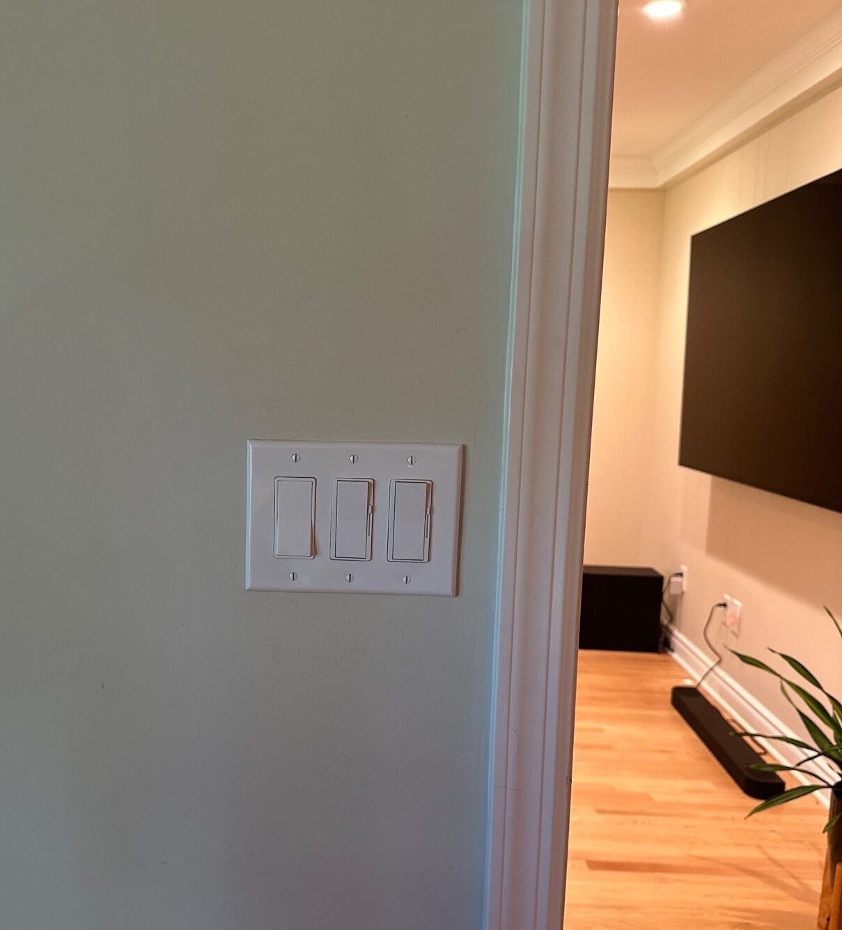 3 Gang Decora Switch Dimmer Installation Living Room — Spartan Home Pros, Ceiling Fan Installation, NJ