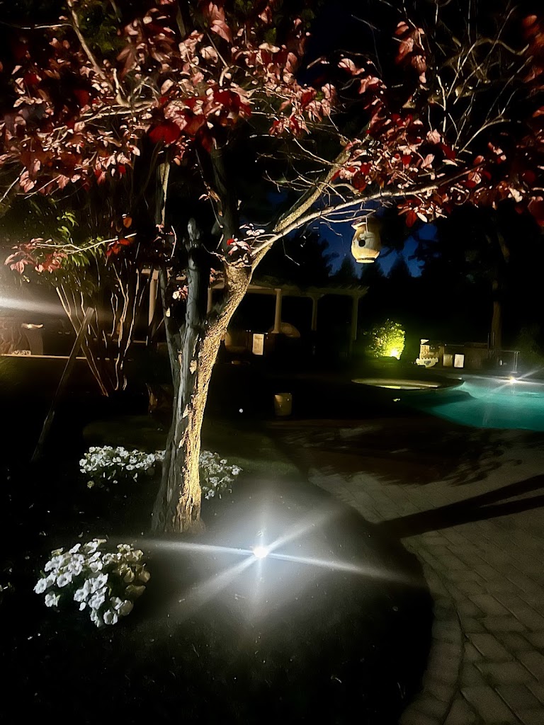 Landscape Outdoor Lighting Install Pool Garden Area — Spartan Home Pros, Central New Jersey